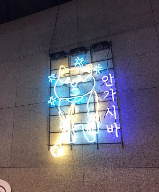 쏭듀르 프로필