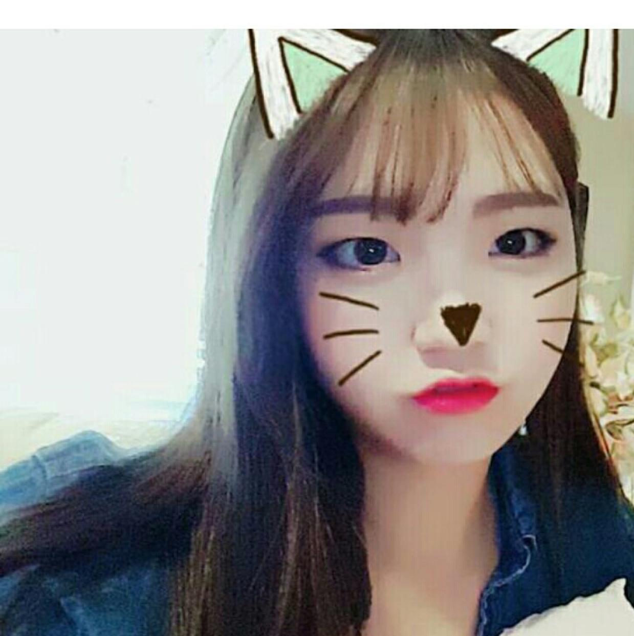 에탄올 프로필