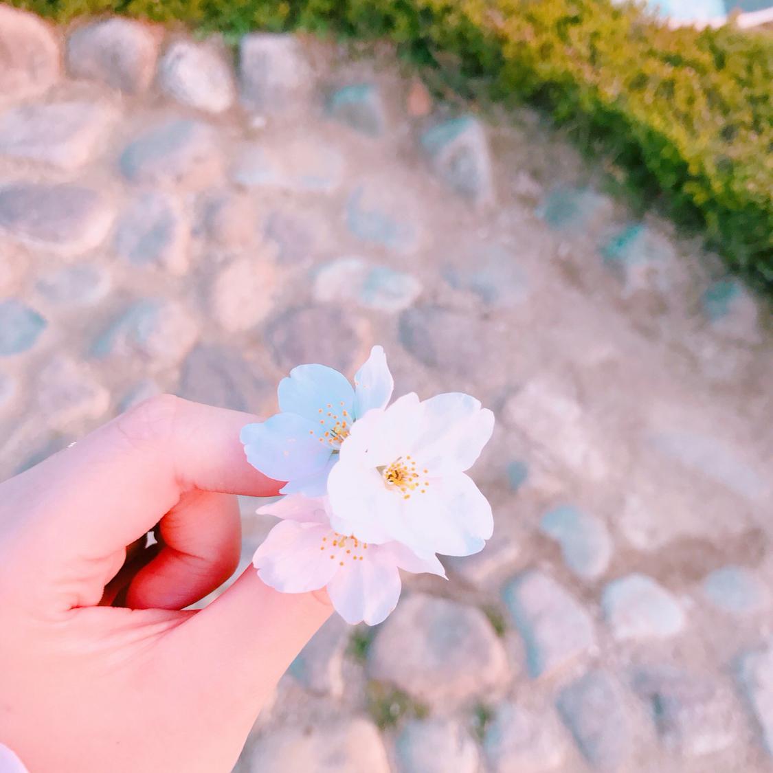 쫑이쫑이쫑이 프로필