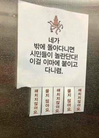 은설향 프로필