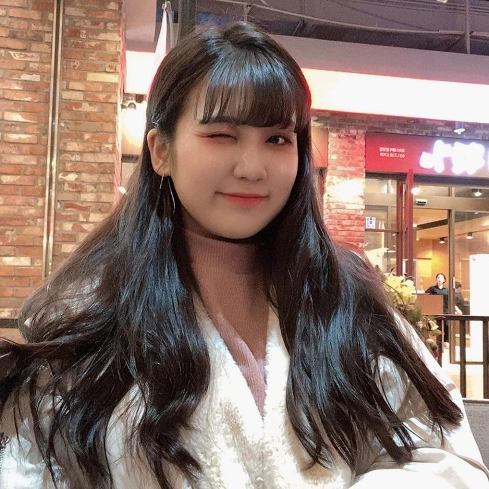 핑구수아 프로필