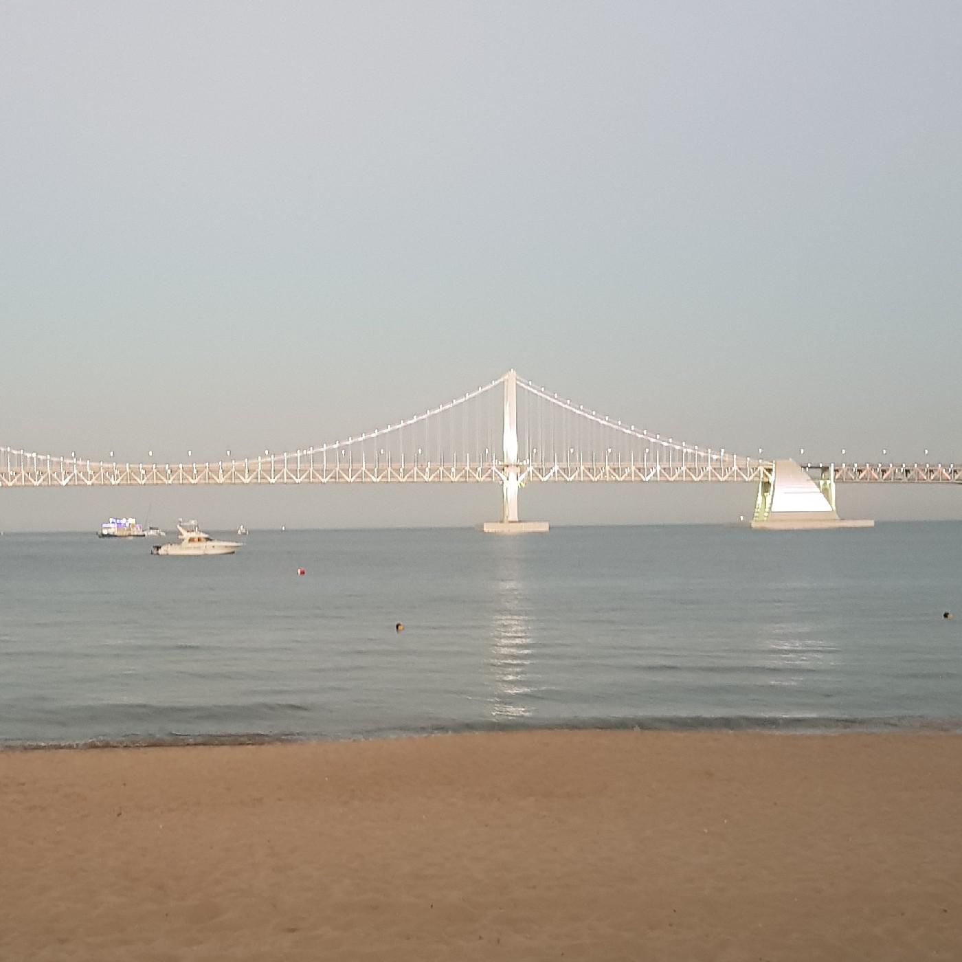 mh3297 프로필