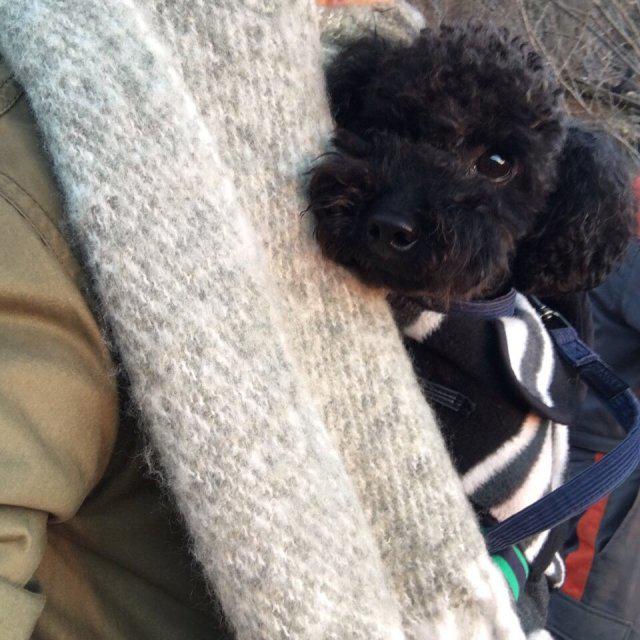 리뷰어 프로필