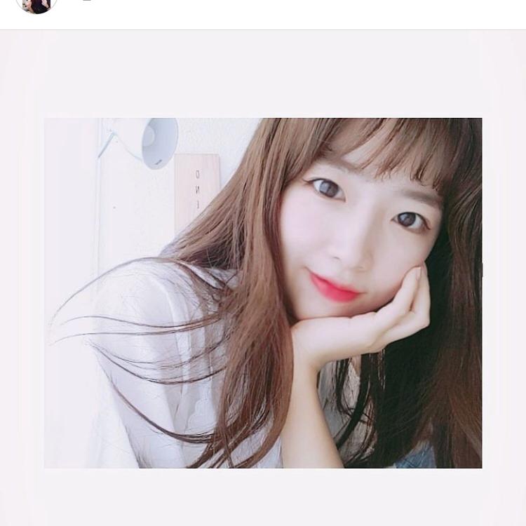 송릴리 프로필