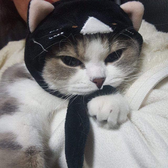 지현디현 프로필
