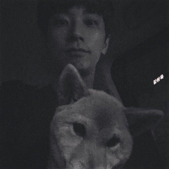 고양이체고 프로필