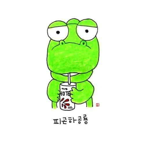 Adung 프로필