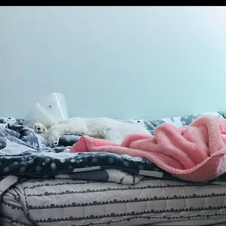 현봄 프로필
