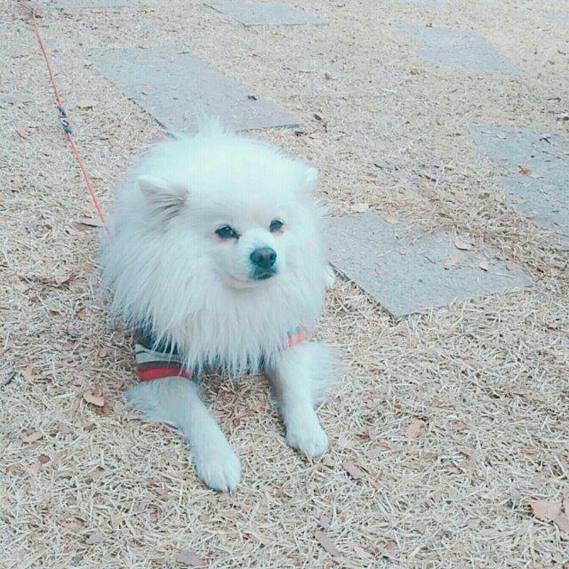 Yes, 프로필