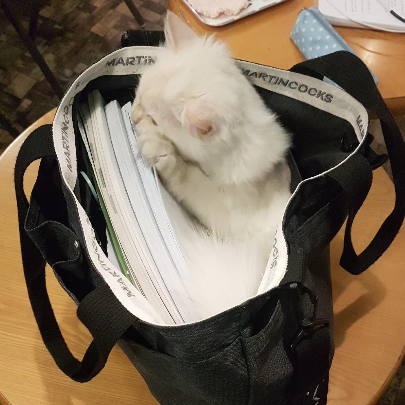 윤지kim 프로필