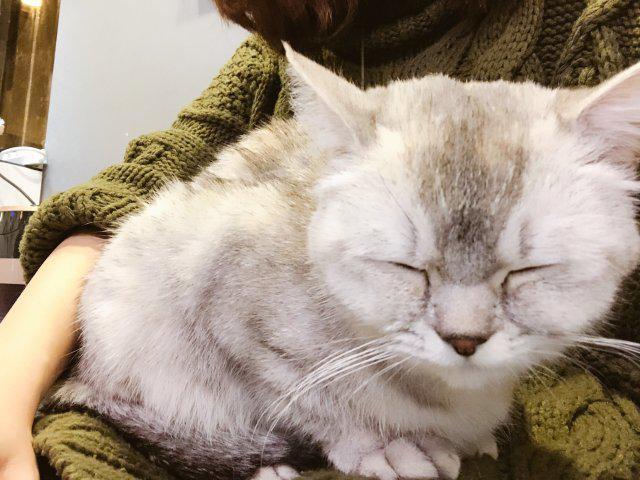 뚜루우경 프로필