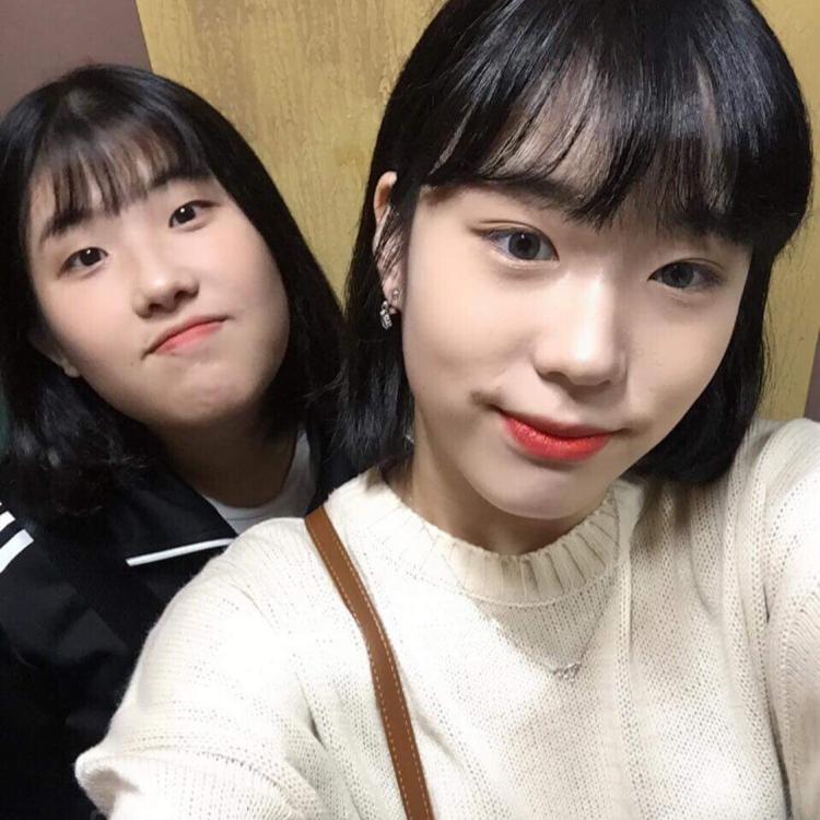 이채미 프로필