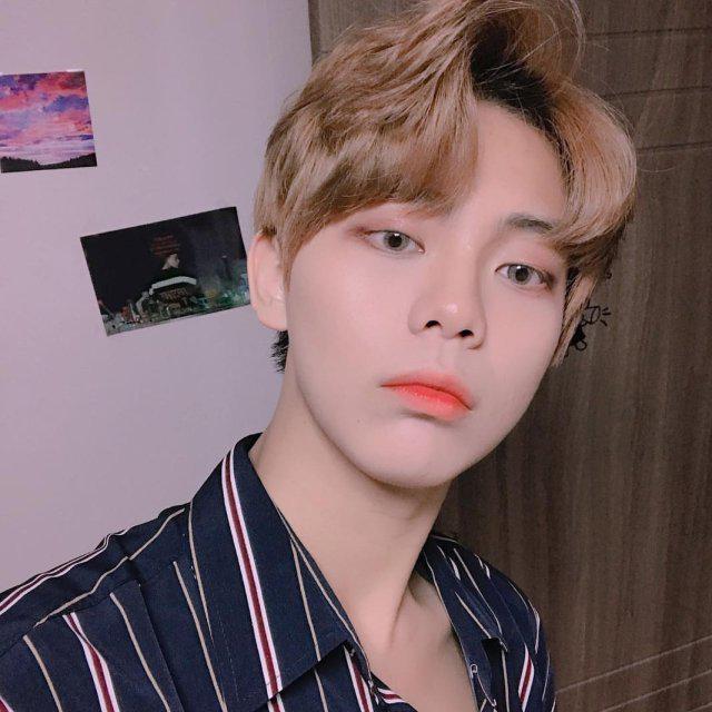 다솜정국 프로필