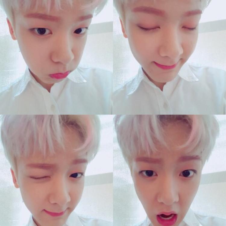 행보강해 프로필