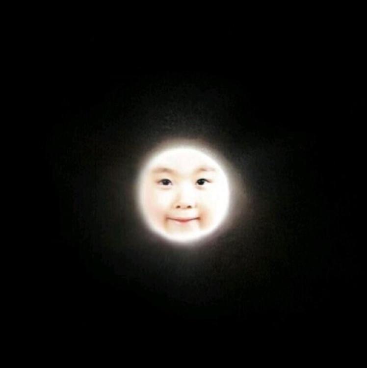 박오똑 프로필