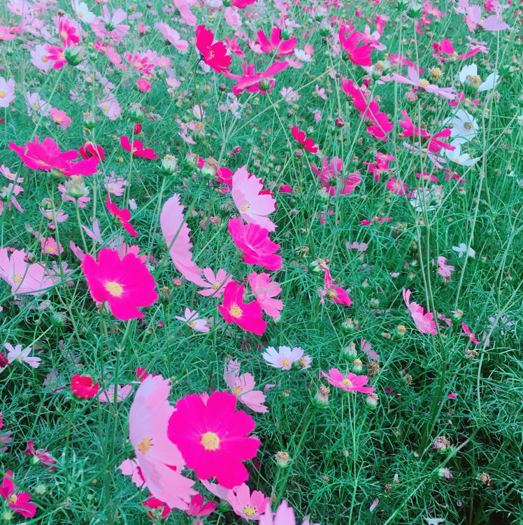 jsjsk 프로필