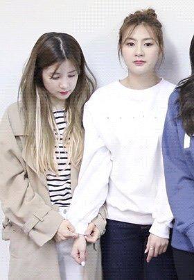 냐옹이집사 프로필