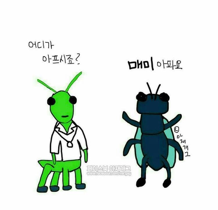 팅그르 프로필