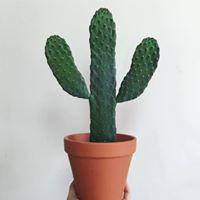 리뷰어 프로필