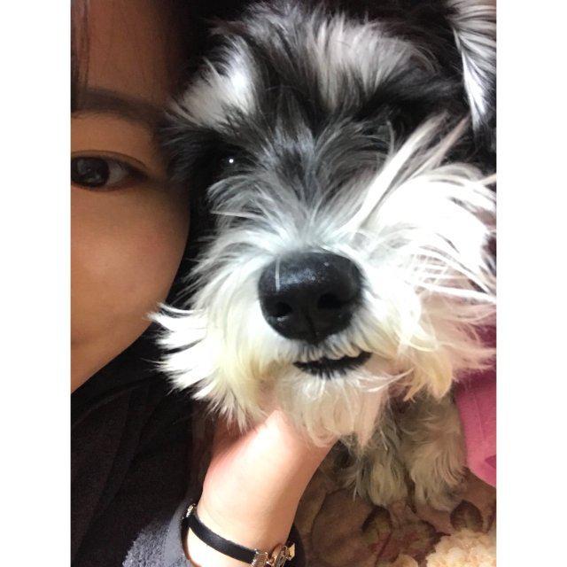 dpwls1010 프로필