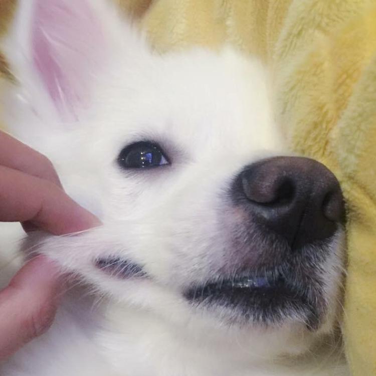 리뷰어 프로필