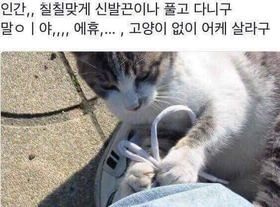 정연! 프로필