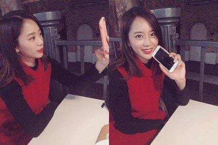 코메쩡 프로필