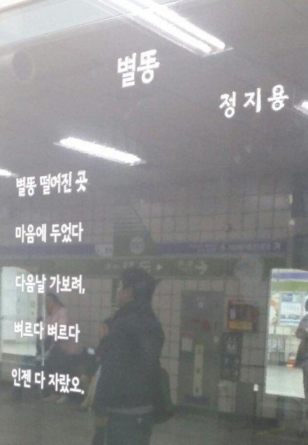 soosoup 프로필