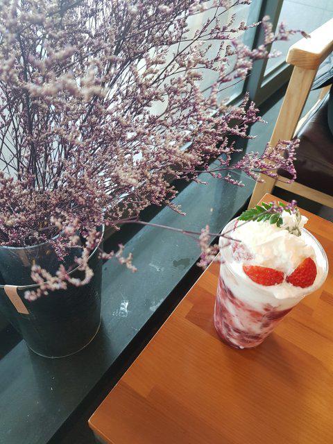 픵픵이 프로필