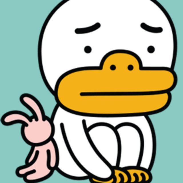 핑걸 프로필