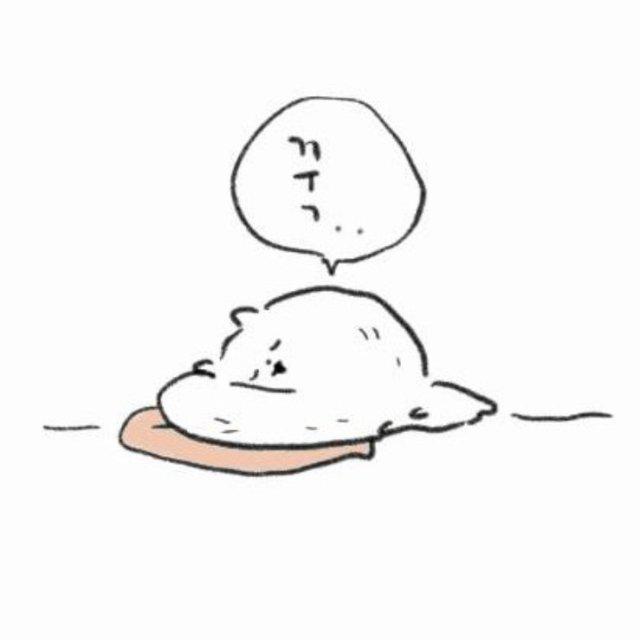 꼼꽤 프로필