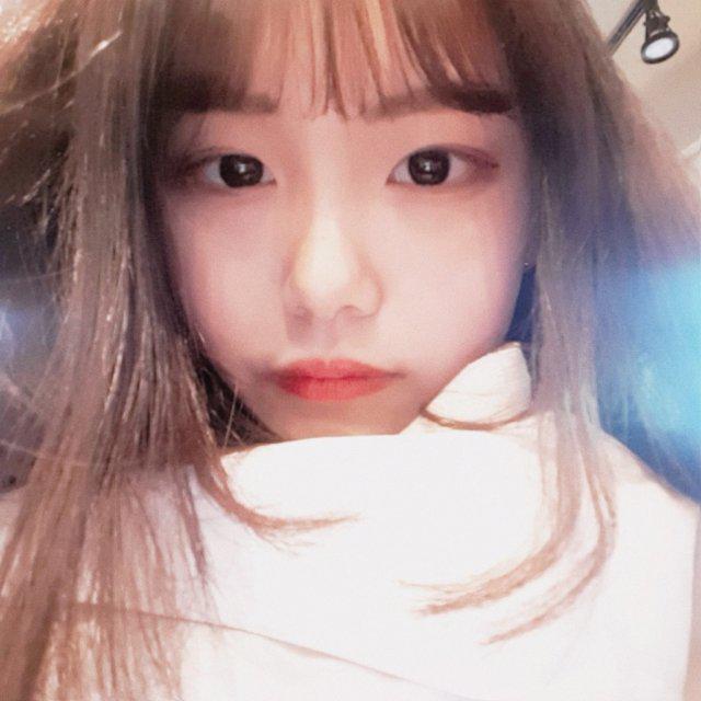 기요미밍디 프로필