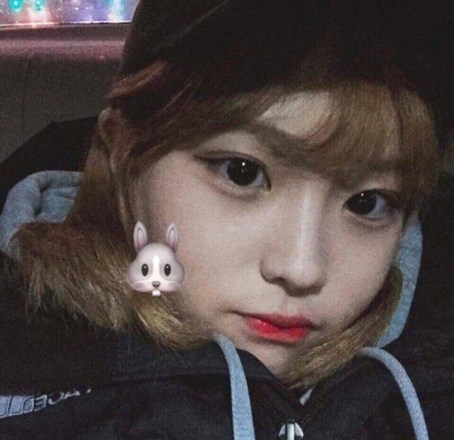 popo010 프로필
