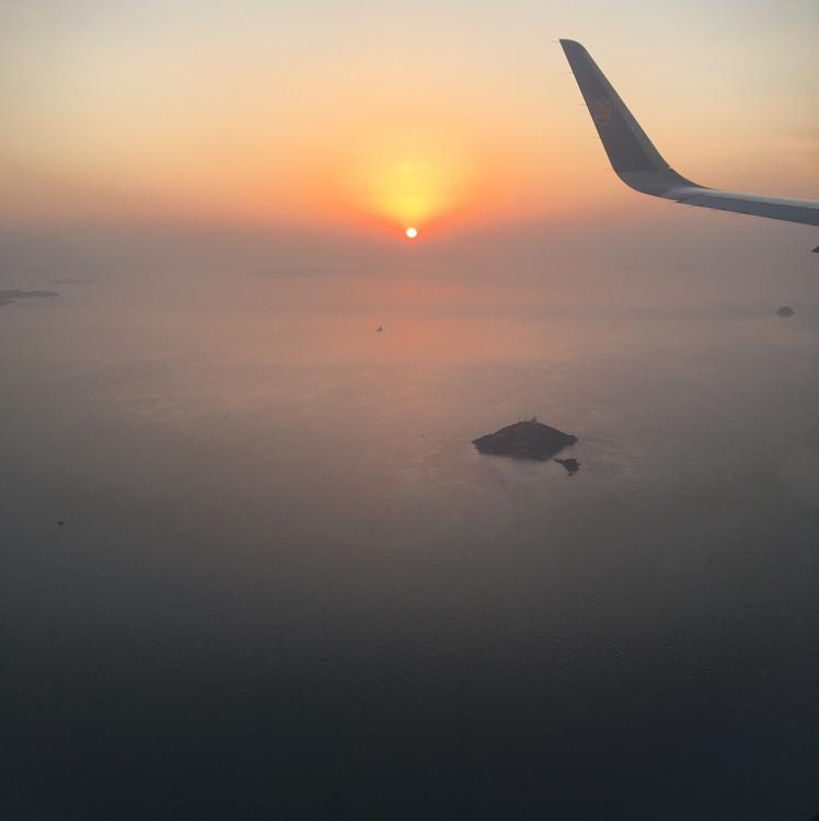 dongunii 프로필