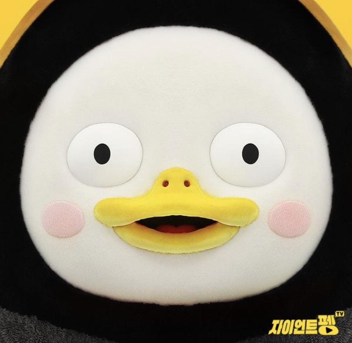 깡까루 프로필