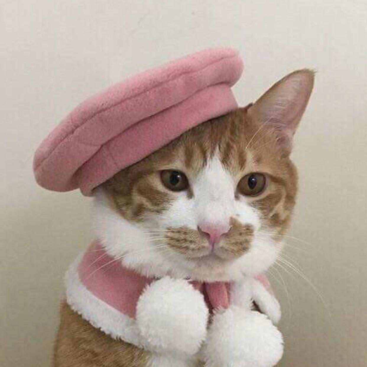 리뷰어 프로필