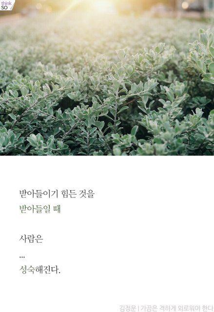 ysn3470 프로필