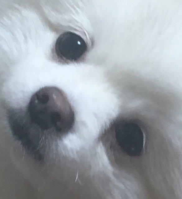 갈뮽건 프로필
