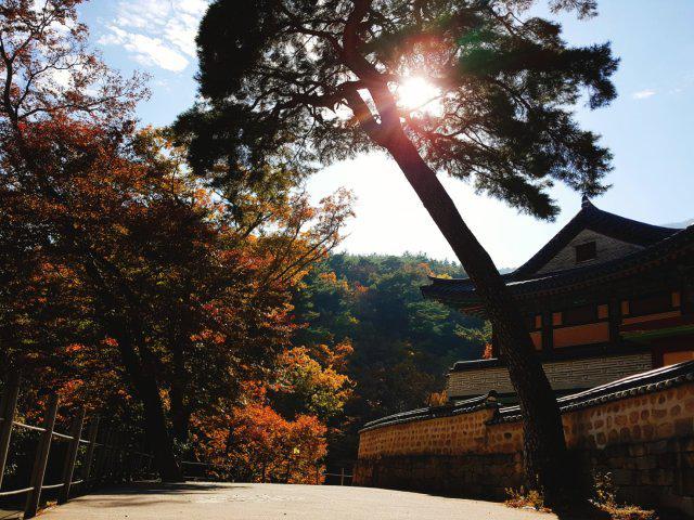 착한 프로필