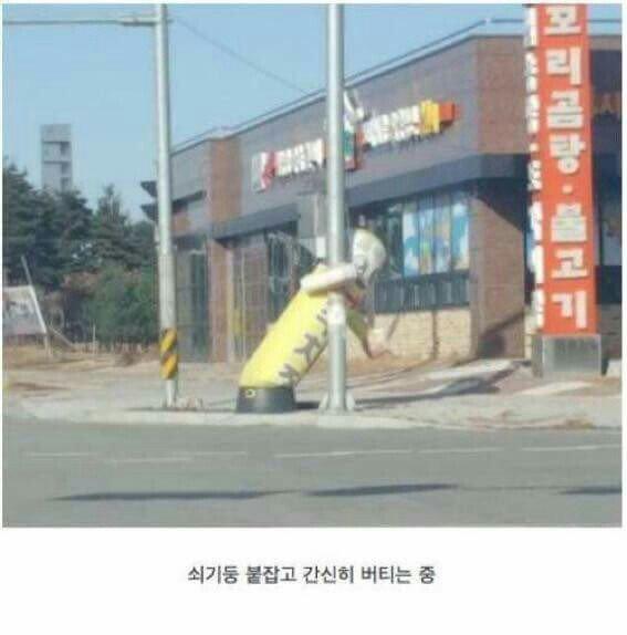 미소-L 프로필