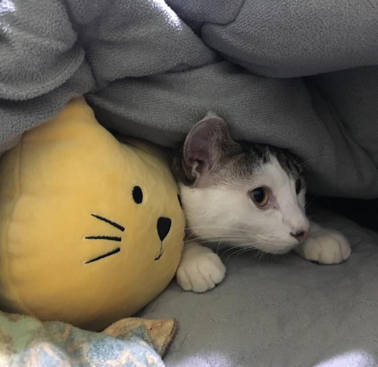 앎24 프로필