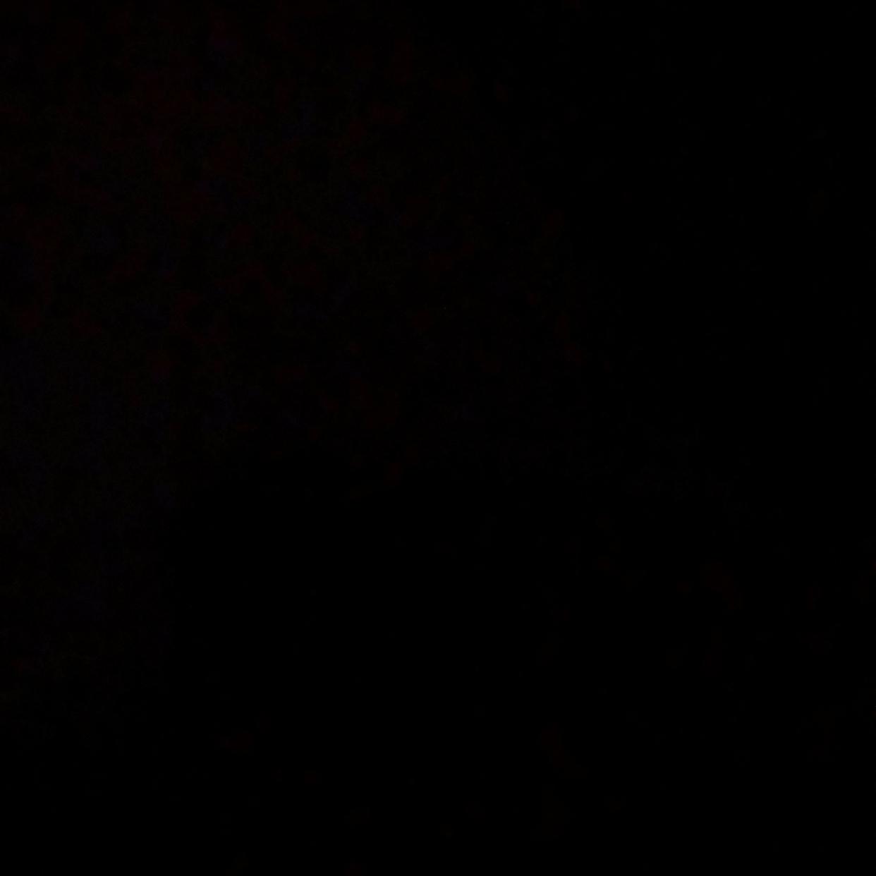 dptmf02 프로필