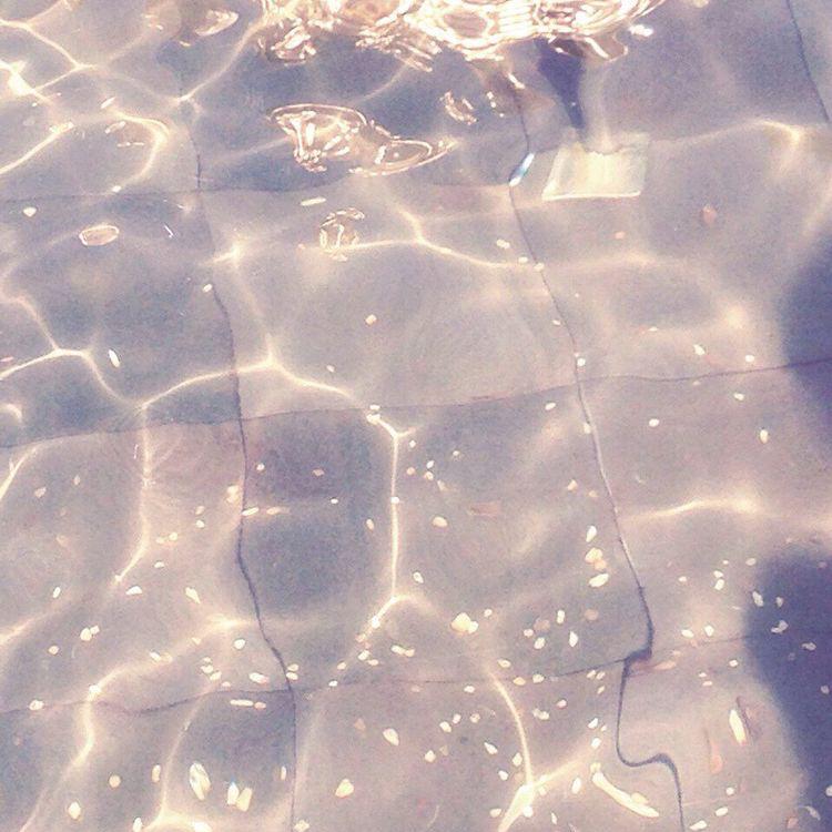 킁쥐 프로필