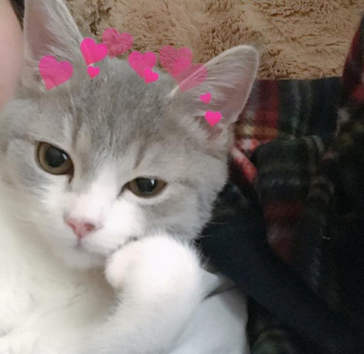 minuito 프로필