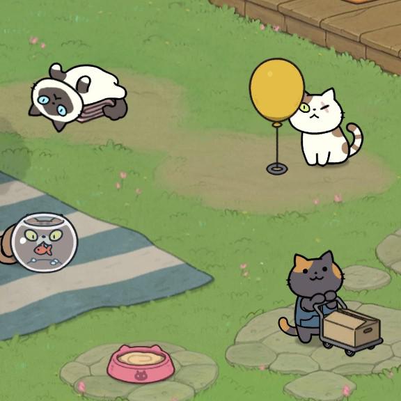 Tella 프로필
