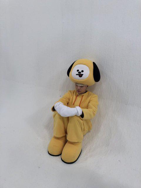 치이잉 프로필