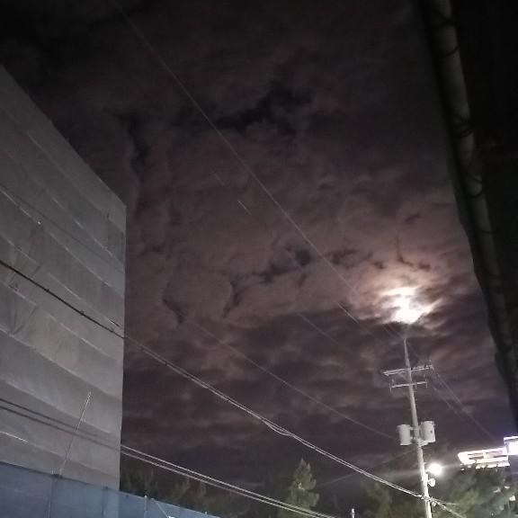리ㅣ리리 프로필