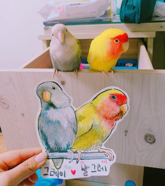무츠히 프로필