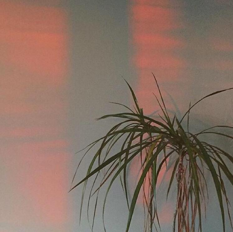 권미갱 프로필