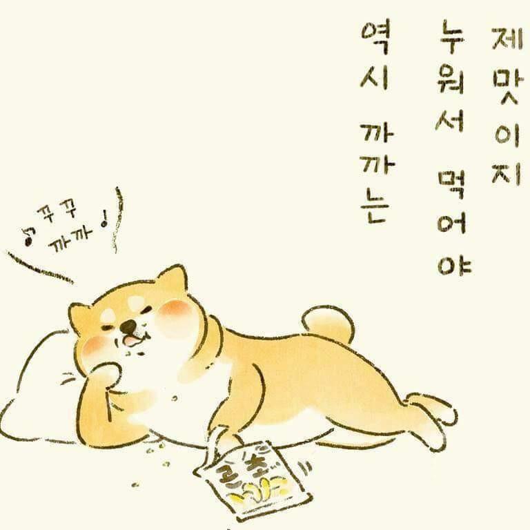 핑크조하 프로필